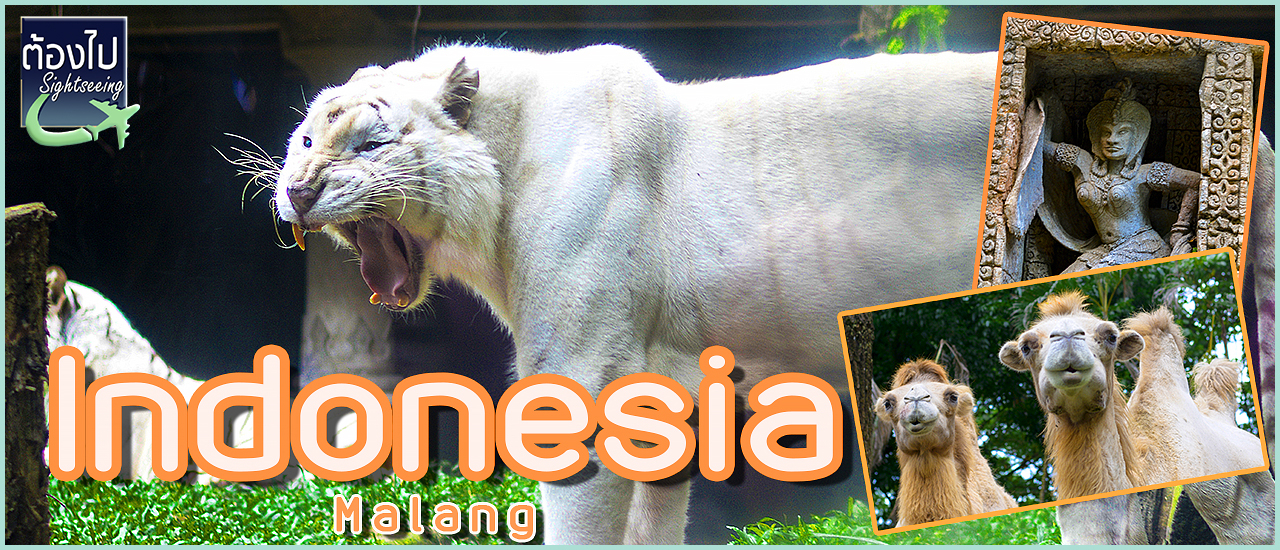 cover ซาฟารีแห่งอินโดนีเซีย ป่าเทียมกลางป่าดึกดำบรรพ์