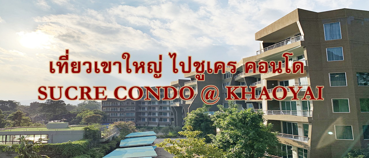 cover เที่ยวเขาใหญ่ ไปชูเคร คอนโด SUCRE CONDO @ KHAOYAI