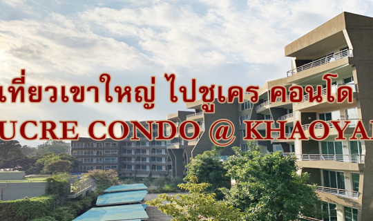 cover เที่ยวเขาใหญ่ ไปชูเคร คอนโด SUCRE CONDO @ KHAOYAI