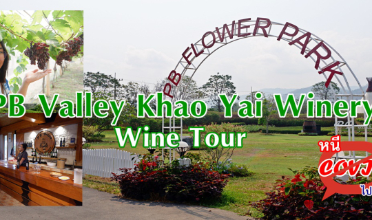 cover ไปเที่ยวเขาใหญ่ ... Wine Tour @ PB Valley Khao Yai Winery (พีบี วัลเล่ย์ เขาใหญ่ ไวนารี่)