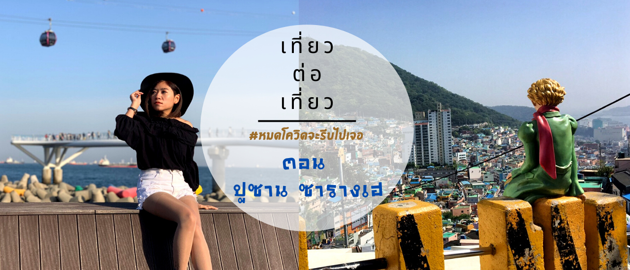 cover #หมดโควิดจะรีบไปเจอ ตอน ปูซาน ซารางเฮ