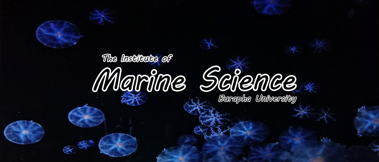 cover เหตุเพราะความเหงานำพาให้เรามาเจอกัน