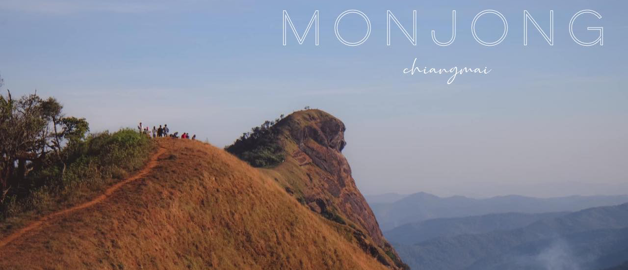 cover ม่อนจอง ต้องลองมา