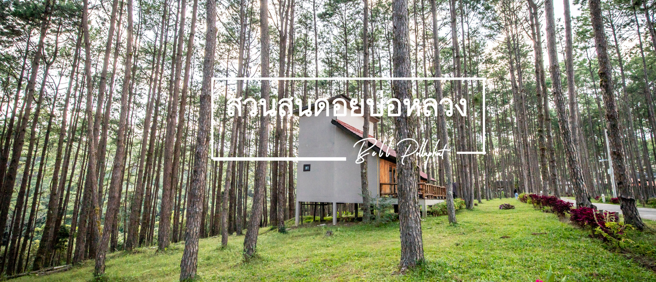 cover นอนในกระท่อมน้อย ใต้เงาสน ที่ สวนป่าดอยบ่อหลวง