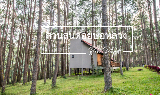 cover นอนในกระท่อมน้อย ใต้เงาสน ที่ สวนป่าดอยบ่อหลวง