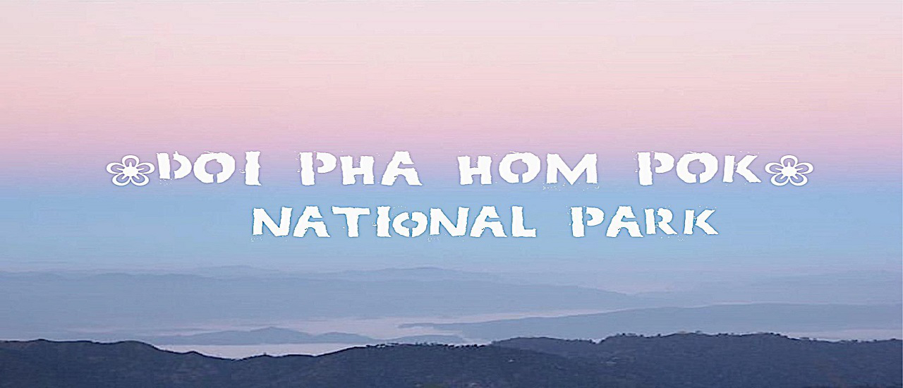 cover จะไปทะเลทำไม...ทั้งที่ในใจมีแต่เขา