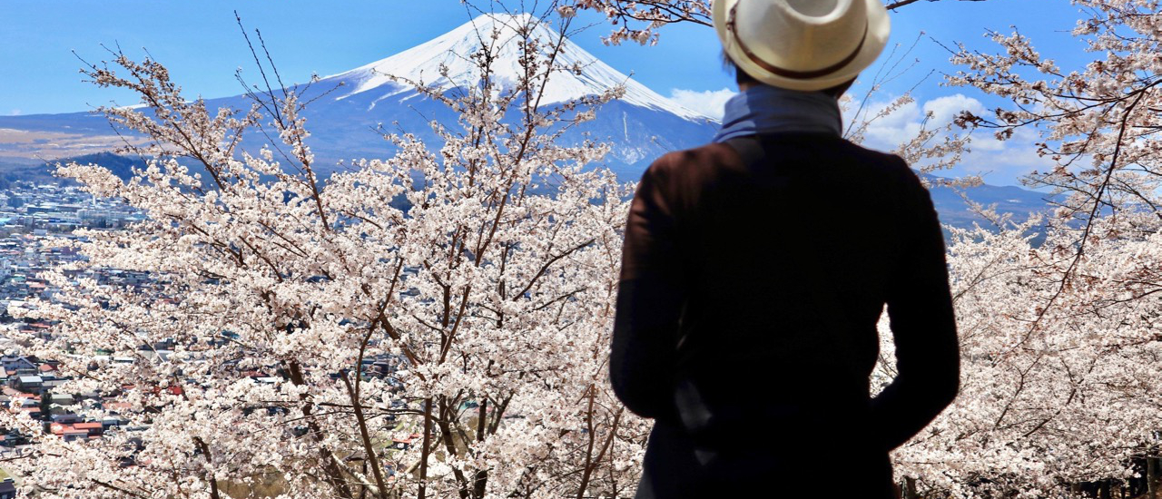 cover Fujisan & Sakura ไปตามหาฟูจิซังในวันที่ซากุระบาน