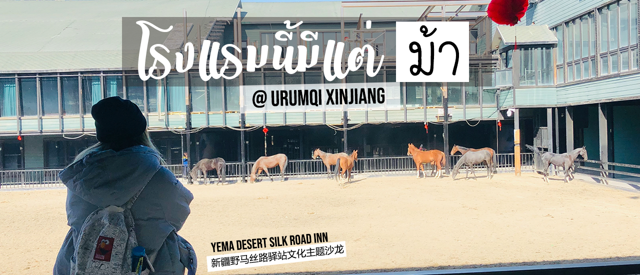 cover โรงแรมนี้มีแต่"ม้า" @urumqi in China