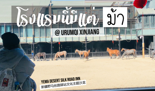 cover โรงแรมนี้มีแต่"ม้า" @urumqi in China