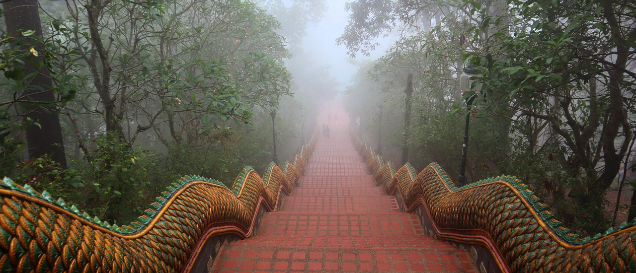 cover นมัสการพระบรมธาตุดอยสุเทพ ชมความงามของอุทยานแห่งชาติดอยสุเทพปุยในวันหมอกเหมยกันเจ้า^^