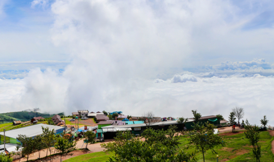 Cover ภูทับเบิก นึกอยากจะไป ไป-กลับวันเดียว ไม่ต้องค้าง...