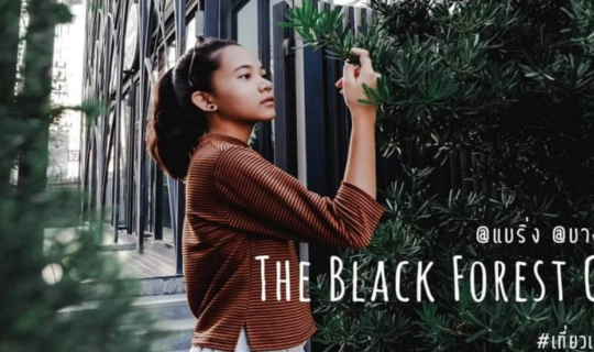 cover "The Black Forest" คาเฟ่น่านั่งย่านแบริ่ง