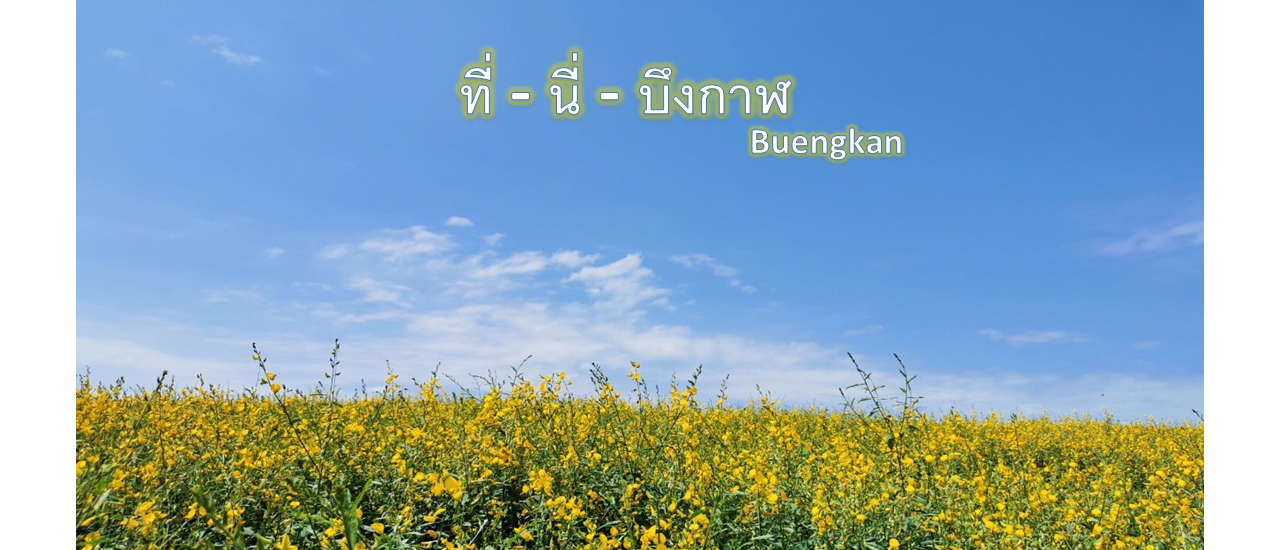 cover ที่นี่บึงกาฬ