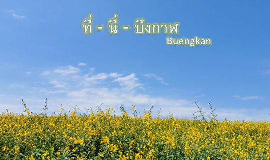 cover ที่นี่บึงกาฬ