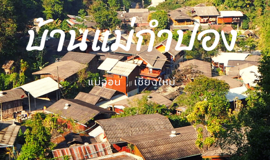 Cover คิดถึง "แม่กำปอง"...