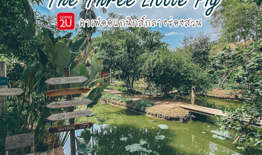 cover The Three Little Pigs Farm🐷🐷🐷