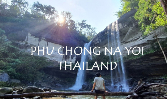 Cover ภูจองนายอย...อะไรยอยๆ ไม่เห็นรู้จัก...