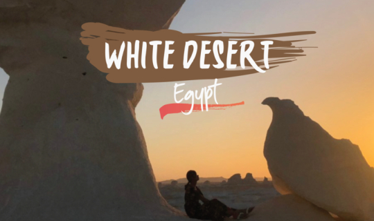 Cover หลังติดทราย เอนกายมองดาวที่ white desert @Egypt...