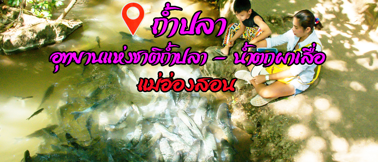 cover ถ้ำปลา อุทยานแห่งชาติถ้ำปลา - น้ำตกผาเสื่อ แม่ฮ่องสอน