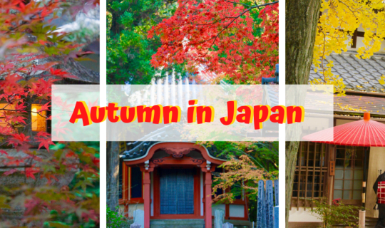 Cover Autumn in Japan ใบไม้เปลี่ยนสีที่ญี่ปุ่น...