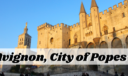 Cover Avignon, City of Popes...