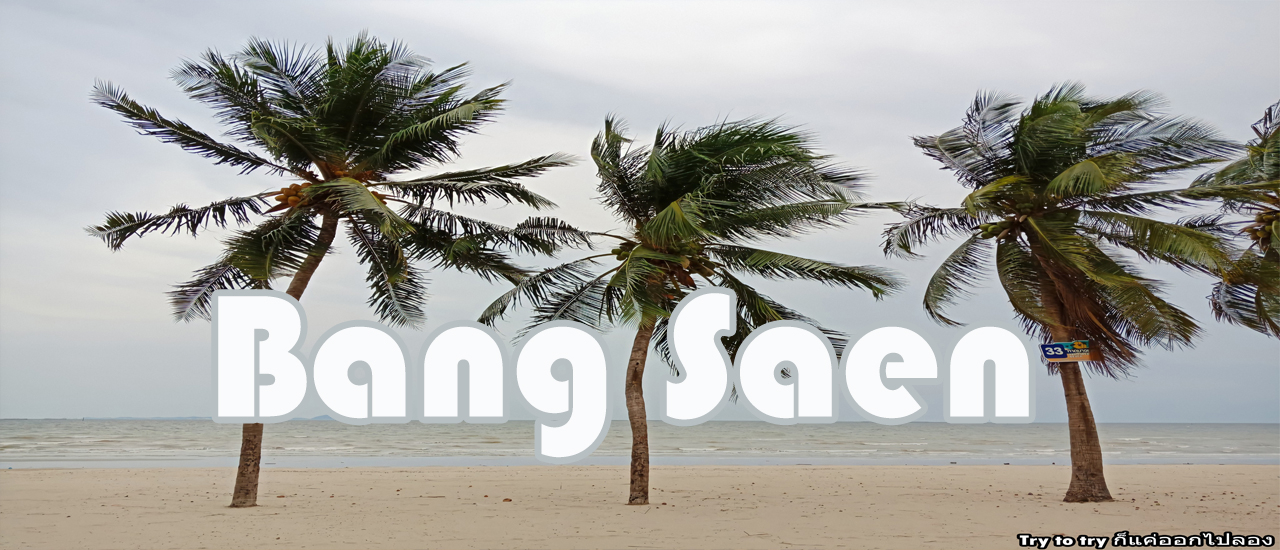 cover บางแสน... บางแสนสุข...