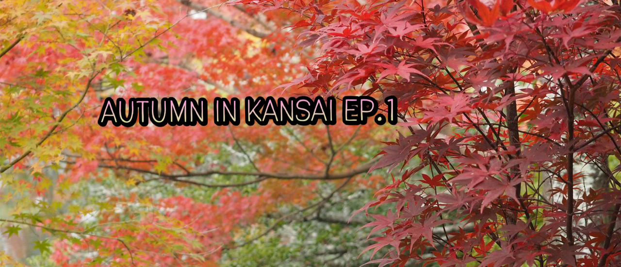 cover Autumn in Kansai 9 DAY EP.1 - วางแผนก่อนเดินทาง และสรุปค่าใช้จ่าย
