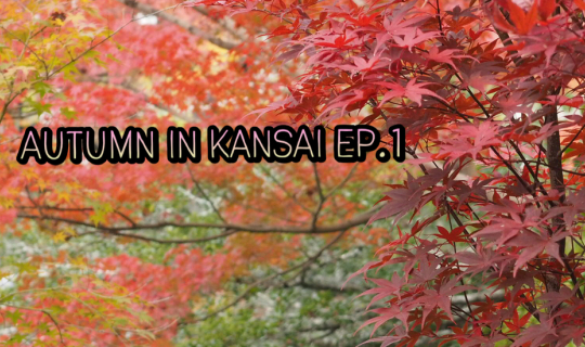 cover Autumn in Kansai 9 DAY EP.1 - วางแผนก่อนเดินทาง และสรุปค่าใช้จ่าย