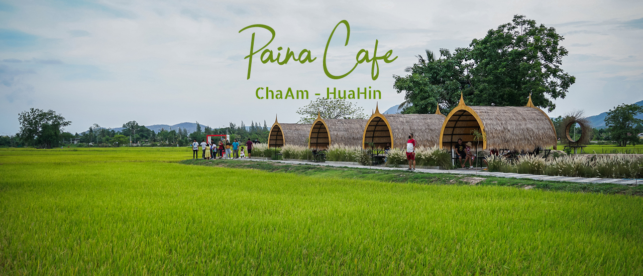 cover รีวิว Paina Cafe ไปนา คาเฟ่ พิกัดเชคอินแห่งใหม่ ชะอำ - หัวหิน คาเฟ่สุดสวยกลางทุ่งนา