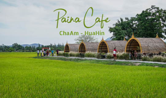 cover รีวิว Paina Cafe ไปนา คาเฟ่ พิกัดเชคอินแห่งใหม่ ชะอำ - หัวหิน คาเฟ่สุดสวยกลางทุ่งนา