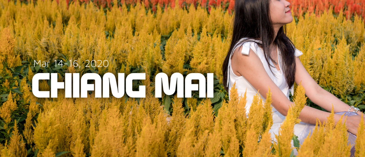cover ✿ : : Chiang-Mai : : ✿ ~ 3 วัน 2 คืน ~ ‘เชียงใหม่’ ไปเมื่อไหร่ก็ไม่เบื่อ (Mar 14-16, 2020)