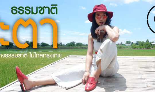 cover ชะตาธรรมชาติ คาเฟ่อยู่กับธรรมชาติ ไม่ไกลกรุงเทพ