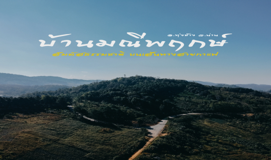 cover สัมผัสธรรมชาติ บนเส้นทางสายกาแฟ ณ "บ้านมณีพฤกษ์" จังหวัดน่าน