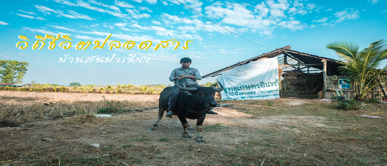 cover วิถีชีวิตปลอดสาร ณ "บ้านสันป่าเหียง" จ.เชียงราย