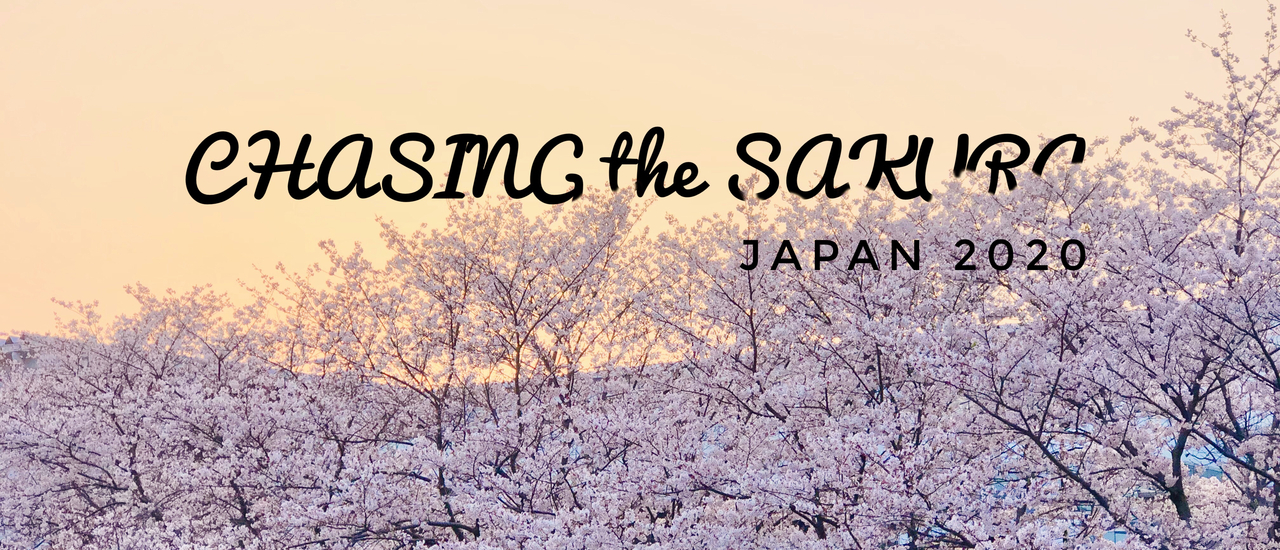 cover เรื่อยๆกับวัน "ดอกซากุระบาน" Shikoku, Japan