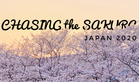 Cover เรื่อยๆกับวัน "ดอกซากุระบาน" Shikoku, Japan...