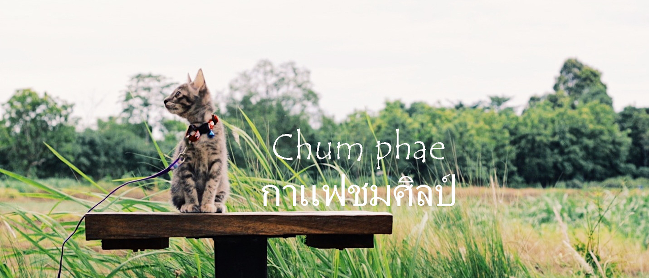 cover ชิลไม่ไกล...ไปชุมแพ กาแฟชมศิลป์