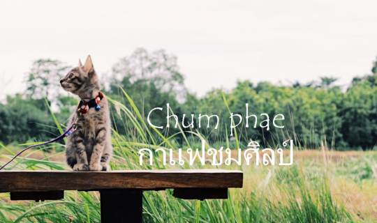 cover ชิลไม่ไกล...ไปชุมแพ กาแฟชมศิลป์