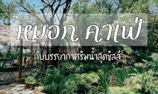 Cover #ตูนนี่พาไปชิลล์ ร้าน หมอก คาเฟ่ ย่านเกษตรนวมินทร์...