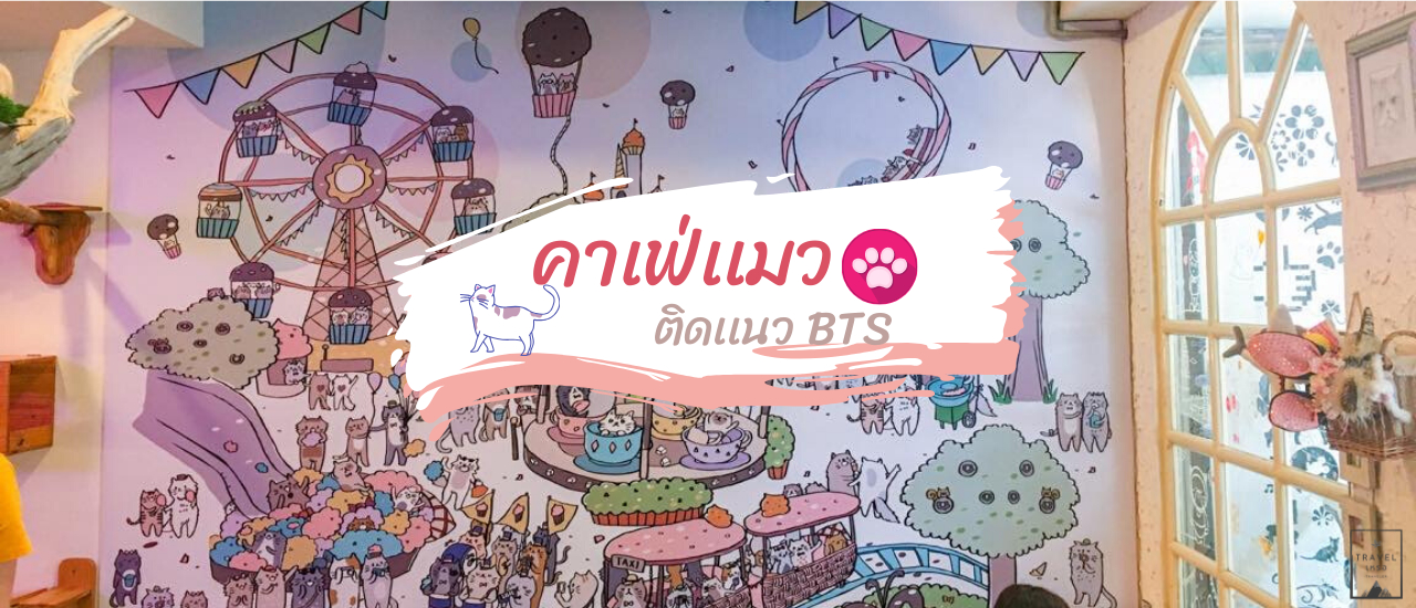 cover คาเฟ่เเมว ติดเเนวBTS