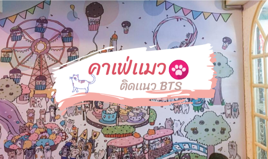 cover คาเฟ่เเมว ติดเเนวBTS