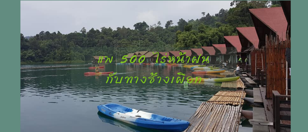 cover แพ 500 ไร่ หน้าฝนกับทางช้างเผือก