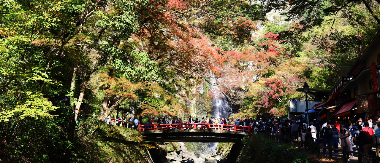 cover Minoh Park, Osaka Castle - Autumn in Kansai 9 DAY EP.2