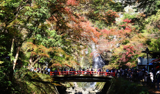 cover Minoh Park, Osaka Castle - Autumn in Kansai 9 DAY EP.2