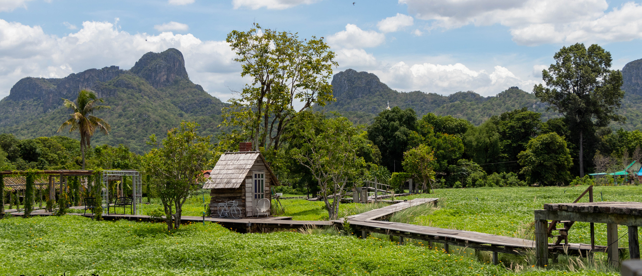 cover แวะกินข้าว ชมทุ่งดาวกระจาย @ กระเพรา & coffee
