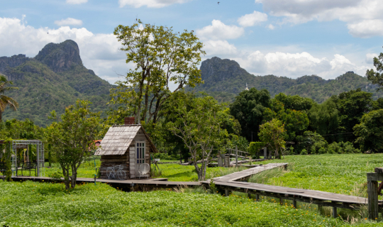 cover แวะกินข้าว ชมทุ่งดาวกระจาย @ กระเพรา & coffee