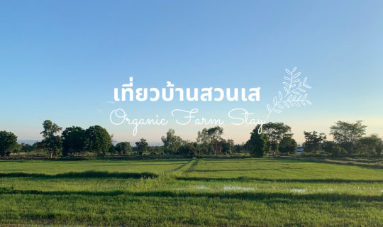 Cover EP.2 ปิดจอคอม เเล้วหันมองนา ที่บ้านสวนเส ชัยภูมิ หลัง COVID-19...