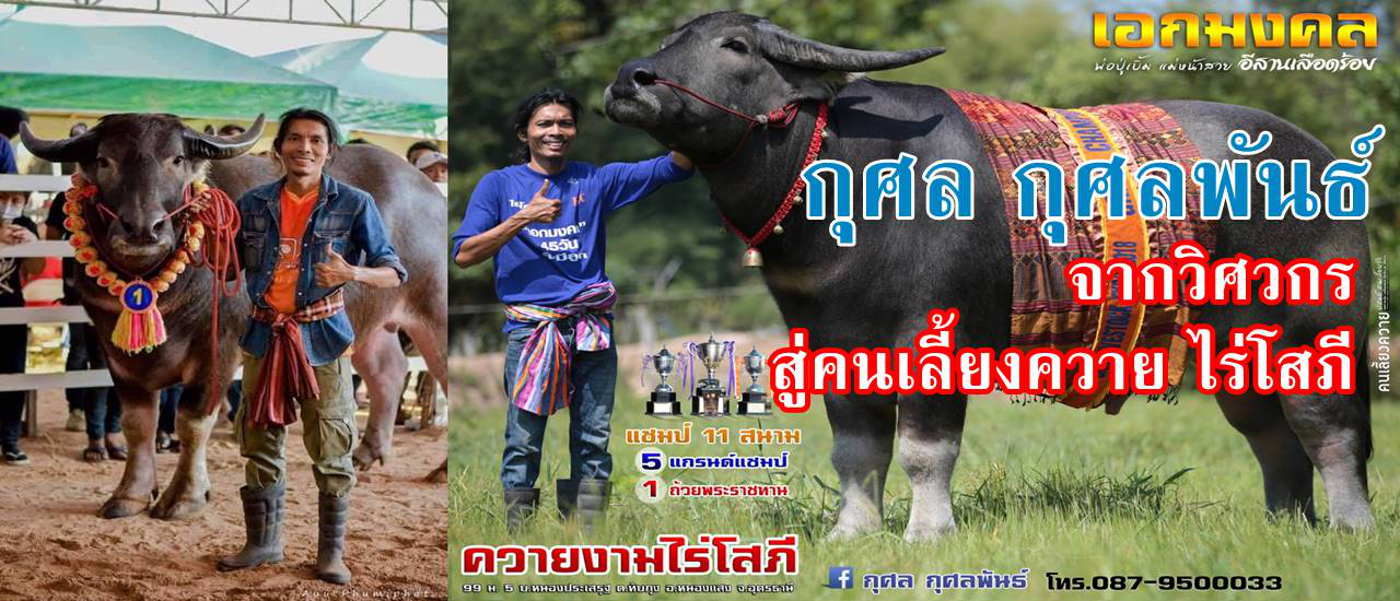 cover กุศล กุศลพันธ์ จากวิศวกร สู่คนเลี้ยงควาย ไร่โสภี