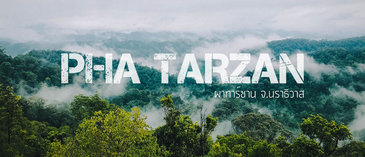 cover พิชิตผาทาร์ซาน จ.นราธิวาส กับฝนที่กระหน่ำอย่างบ้าคลั่ง