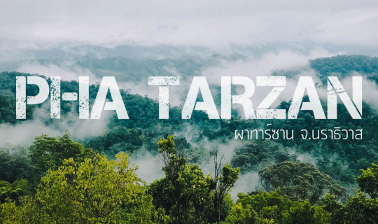 cover พิชิตผาทาร์ซาน จ.นราธิวาส กับฝนที่กระหน่ำอย่างบ้าคลั่ง